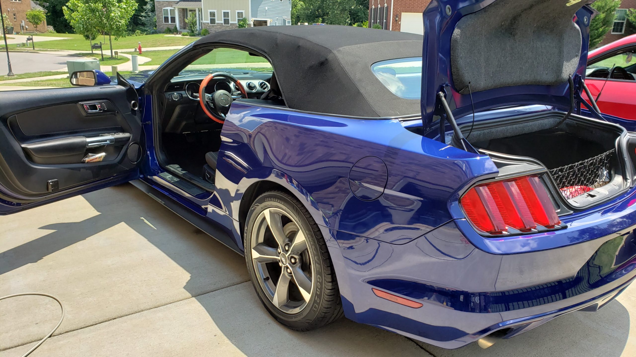 Washed Mustang