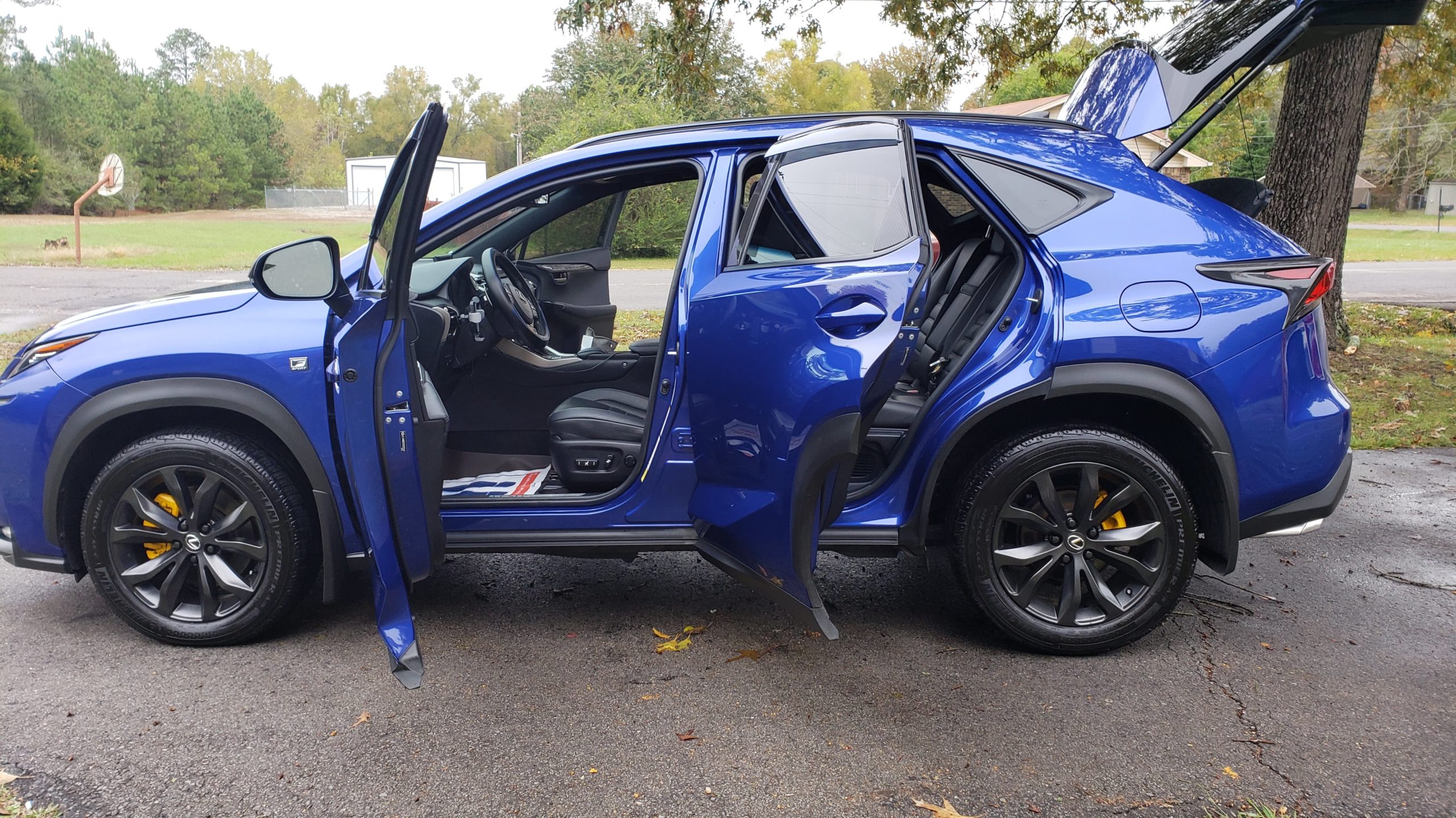 Detailed Lexus NX 200t F Sport